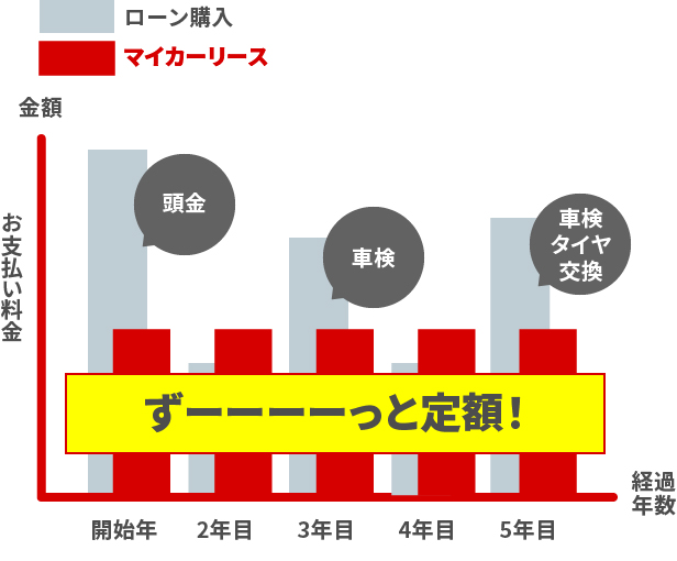 費用比較グラフ